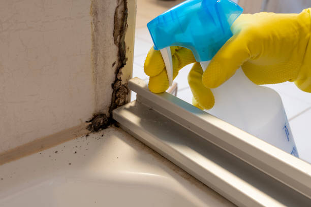 Best Mold Remediation  in Akron, OH