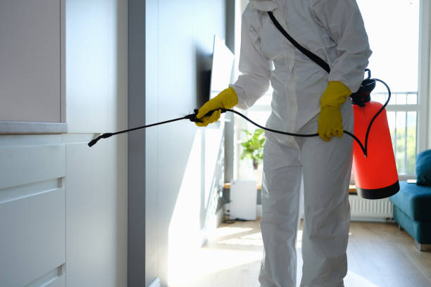 Best Affordable Mold Removal  in Akron, OH